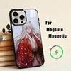 Kamisama Kiss To-mo-e  Phone Case For iPhone17,16,15,14,13,12,11 Plus,Pro Magnetic For Magsafe Wireless Charging