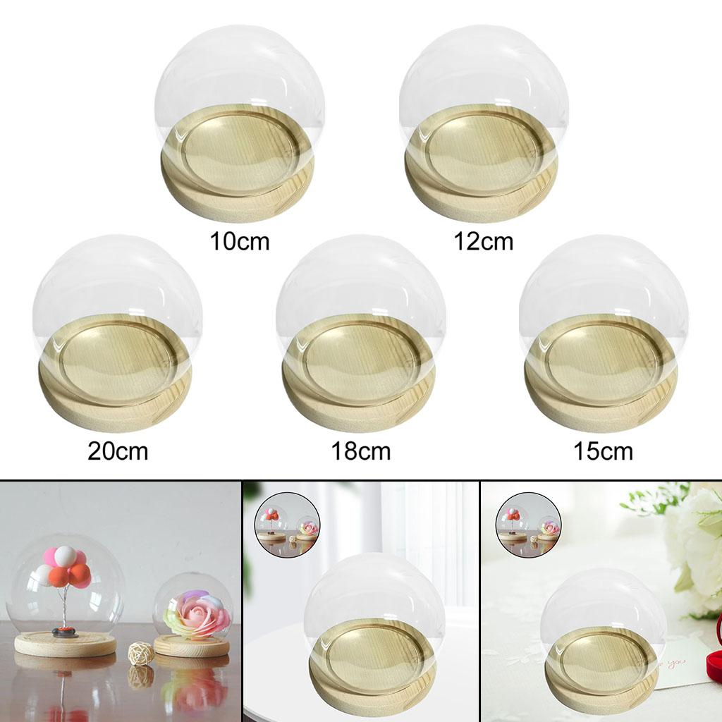 Gläserne Display-Cloche Terrarium Kugelförmige Abdeckung mit Holzsockel