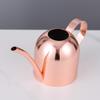 Rose Gold Stainless Steel Watering Can with Spout, Retro Style, 1000ML for Succulents and Green Plants