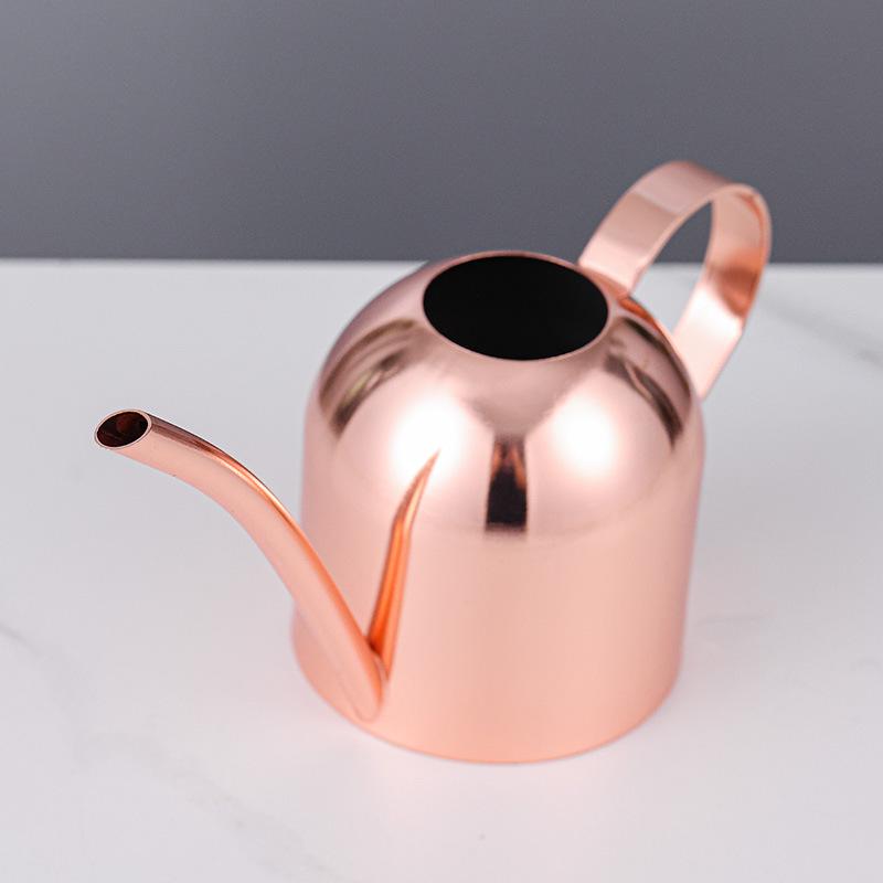 Rose Gold Stainless Steel Watering Can with Spout, Retro Style, 1000ML for Succulents and Green Plants