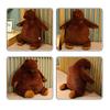 Orso Bruno Bambola Peluche Orsacchiotto Bambola di Pezza Cuscino Rilassante per Bambini Dormire Regalo