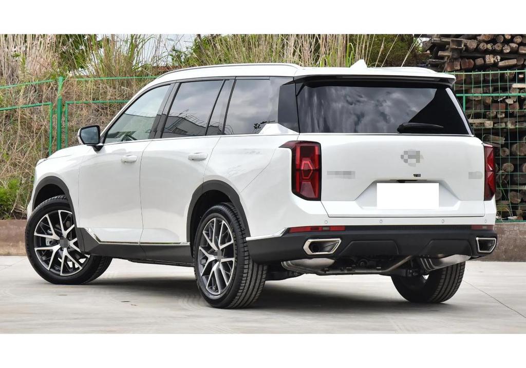 2022 Trumpchi GS8 Soft Rubber Mud Flaps