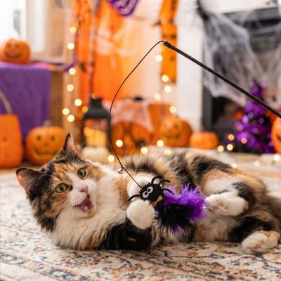 Spooky Spider Pumpkin Skull Toys Halloween Cat Wand Toy, Interactive Toy with Feathers And Bell, Fun Accessories Designs, Ribbon for Indoor