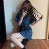 French-Inspired Polo Collar Denim Dress: Slimming A-Line Retro Korean Style for Women