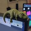 Yousheng Funny Dinosaur Ornaments, Decorative Lying Dinosaur Figurine, 3D Computer Monitor Dinosaur Ornament for Home Office