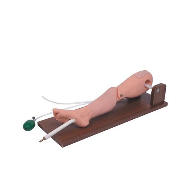 Shuangan Tibial & Femoral Puncture Training Model