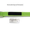 Personalized Dog Collar with Removable Engraved Tag Nylon Reflective Strap Solid Metal D-Ring Color Adjustable Buckle Pet collar