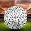 1PC Music Stars Harmony Soccer Ball Size 5 Football Machine Sewn Indoor/Outdoor Universal Football W59
