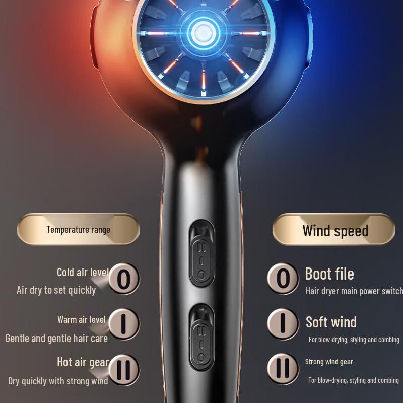 OIMG High-Power Negative Ion Hair Dryer