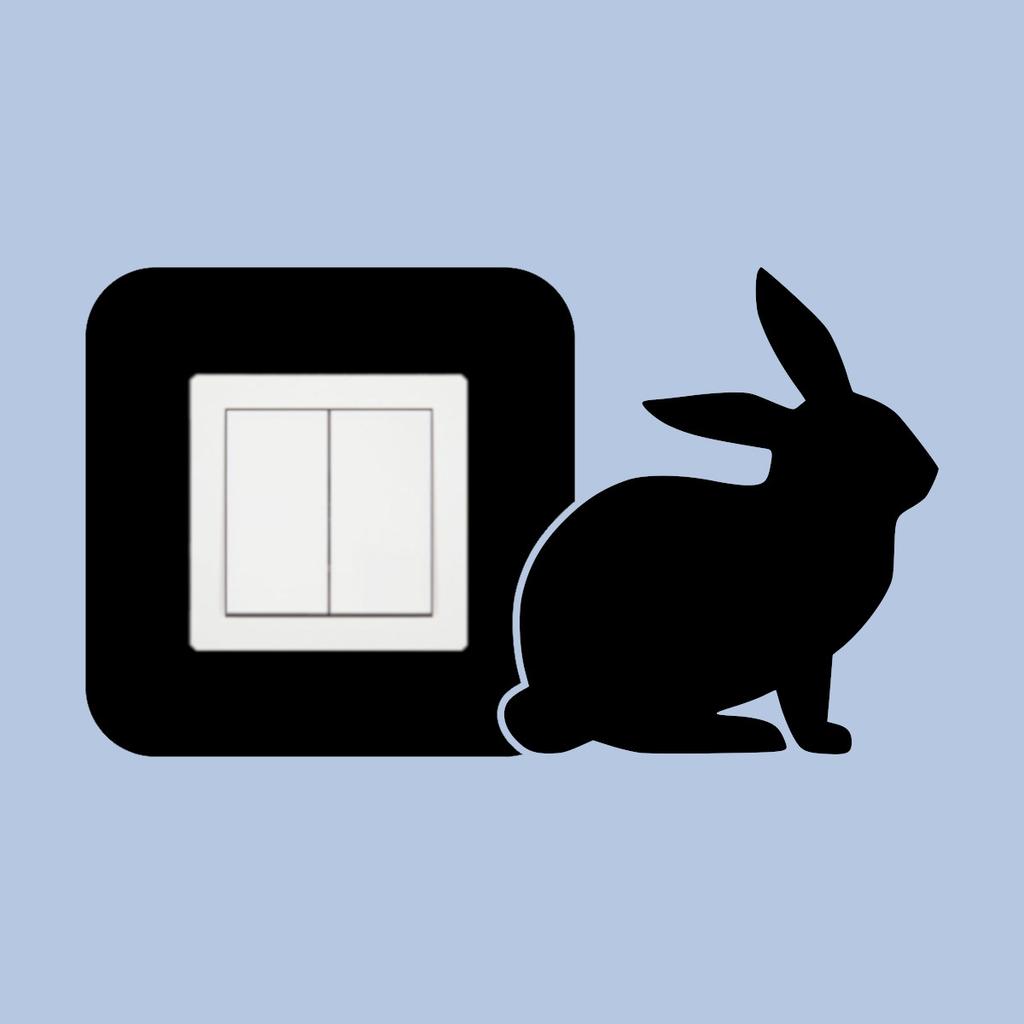 Protective Sticker for the Switch - Rabbit