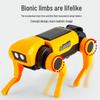 DIY Solar-Powered Mechanical Dog & Cat Educational Toys for Kids