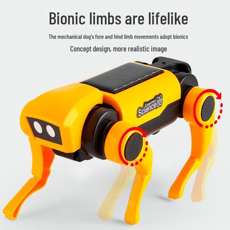 DIY Solar-Powered Mechanical Dog & Cat Educational Toys for Kids