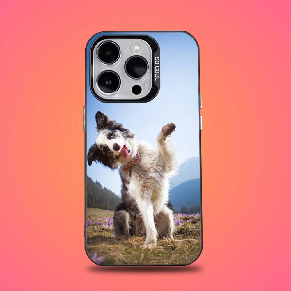 Border Collie Dog Phone Case For iPhone 16,15,14,13,12,11,Pro,Max,Plus,Mini,XS,SE Anti Fall Black Matte Hard Bumper