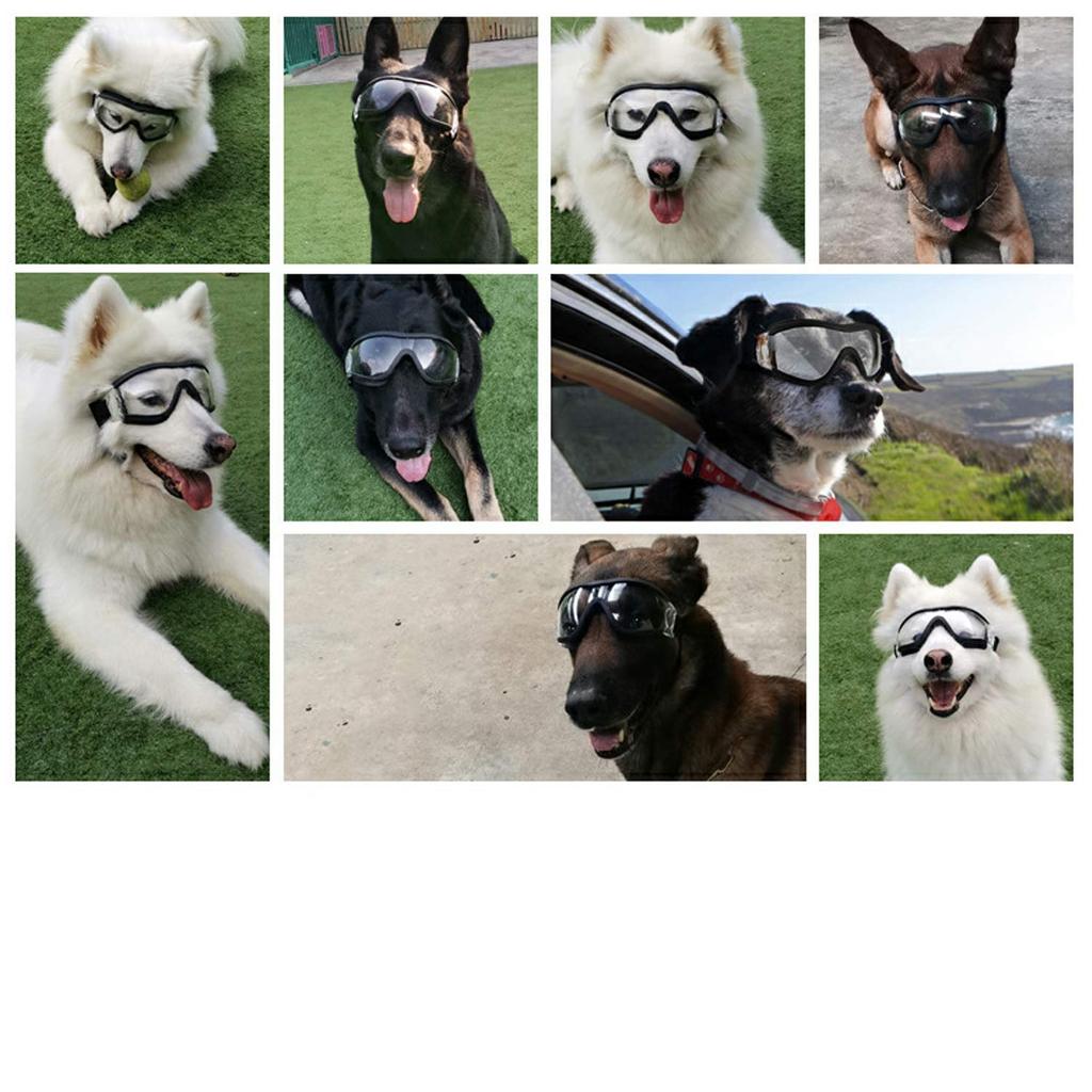 TRIROCK Dog Goggles for Medium to Large Pet Glasses with UV Protection Sunglasses, Dogs, (Clear)