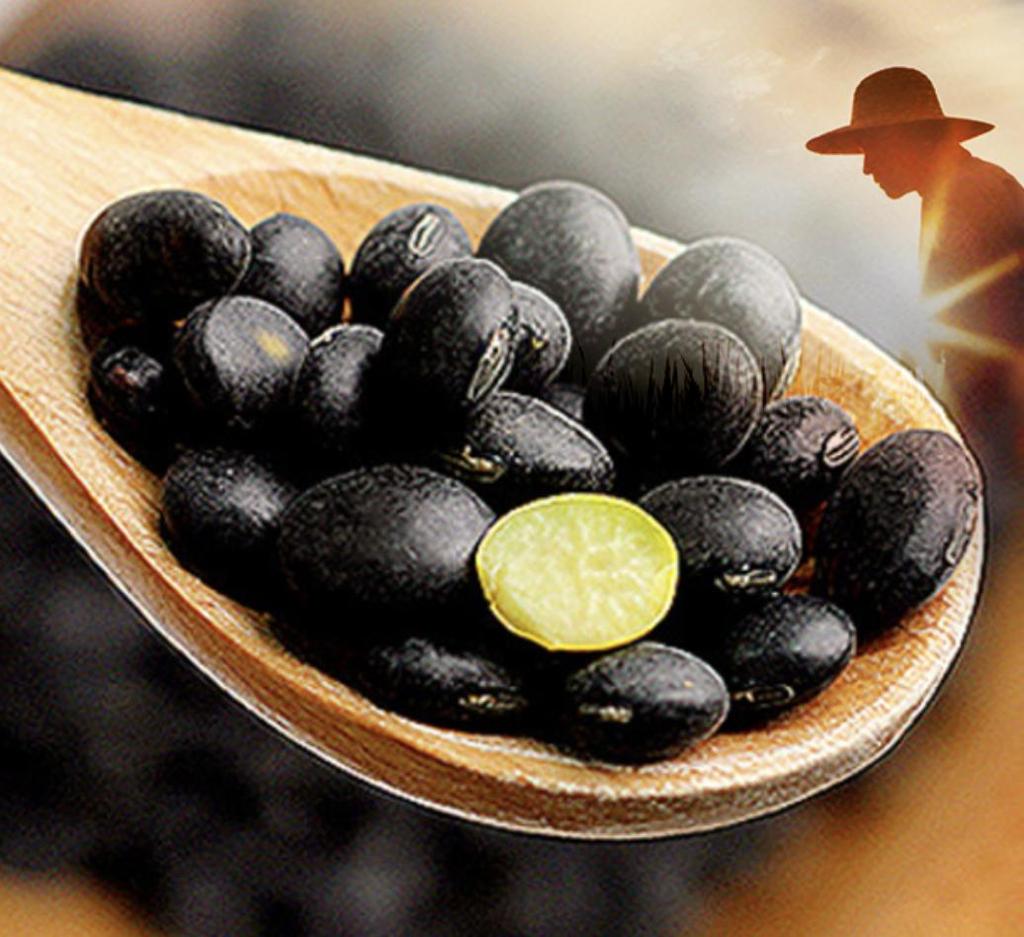 Sempio 100% Domestic Seoritae Black Bean Tojang Rich Savory Soybean Paste Deep Umami 900g 1 Bottle
