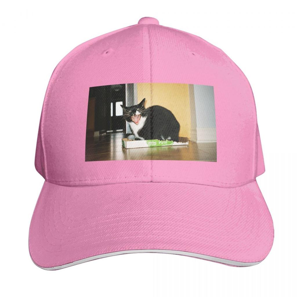 Angry cat Baseball Cap Low Profile Unstructured Unisex for Men Women Outdoor Golf Running Hiking