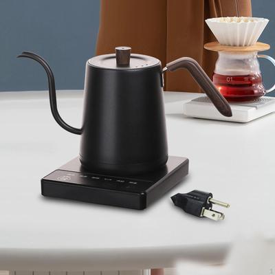 Electric Kettle Stainless Steel Multifunction for Kitchen Outdoor Restaurant Black