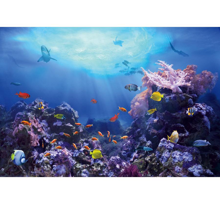Underwater World Fish Coral Aquarium Theme Photography Backdrop, Children's Birthday Party, Home Decoration Photography Backdrop