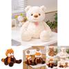 Adorable Lazy Bear Raccoon Plush Toy Soft Stuffed Animal Doll For Girls Gift 35cm 45cm
