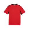 Puma Egypt 2026 Home Kit Puma Red-Intense Red Men Tops 783552-01