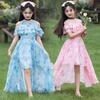 Girls' Summer Chiffon Princess Dress - Floral Beach Skirt