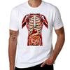 Internal Organs Huunisex Anatomy Skeleton Art Tshirt Casual Streetwear Short Sleeve Tee