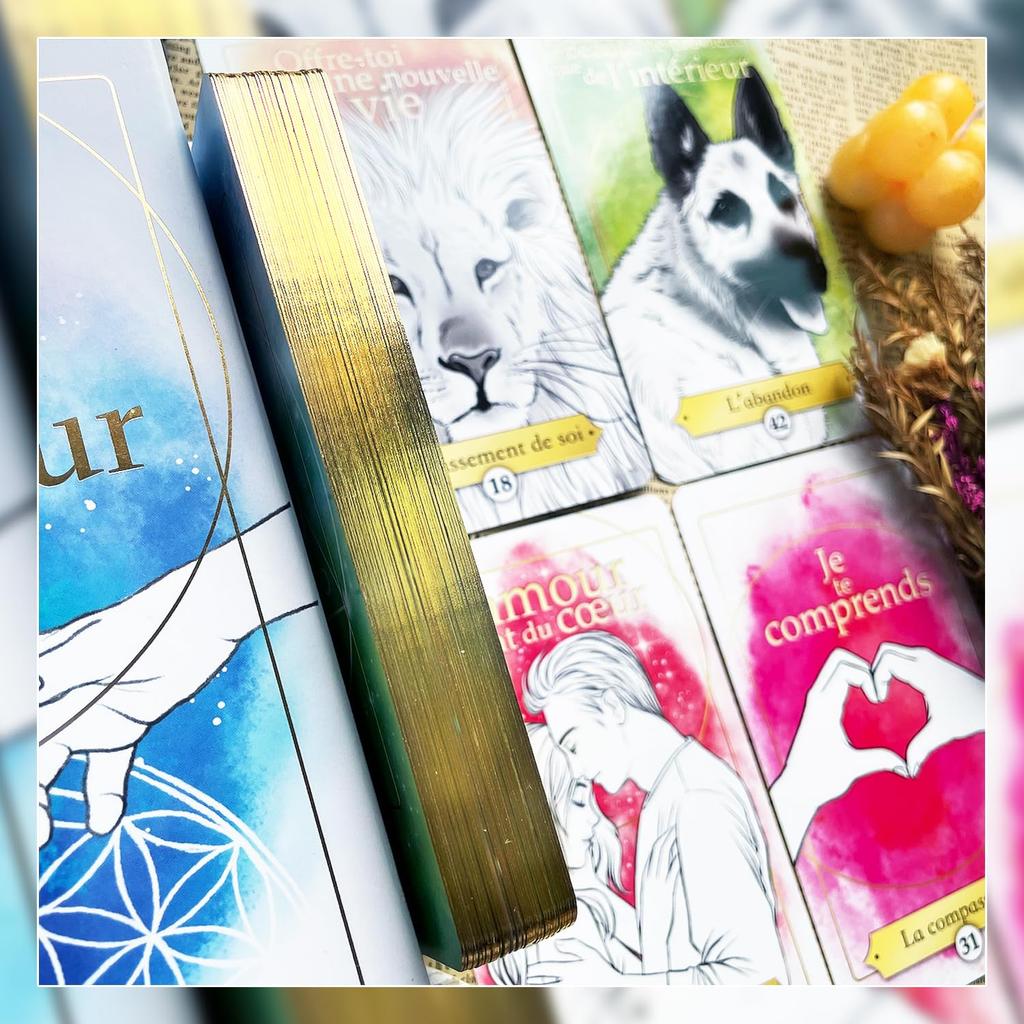 [Authentic] Messages from Your Soulmate [Oracle Card Meanings In Japanese] Tarot Card Fortune Telling