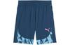 IndividualFINAL Sports Shorts Men's Blue 659019-56