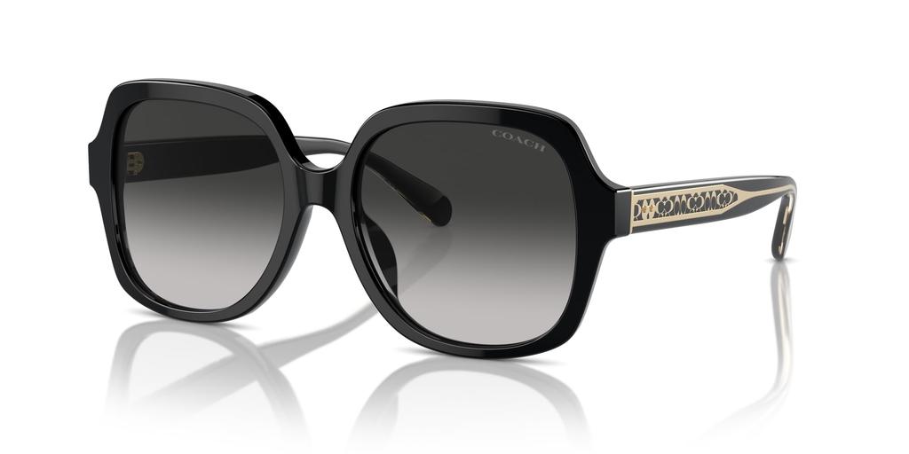 Sunglasses HC8395F CR962 BLACK 56 [Coach] Women's