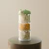 Dog Container - Airtight 3-Layer Pet Food Storage Jar, Leak-Proof & -Resistant Design