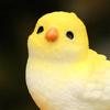 Miniatur Papageienfigur Mini Vogel Harzstatue Realistisches Tierornament Puppenhaus Feengarten Mikrolandschaft Dekoration
