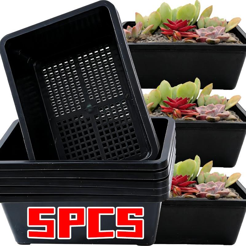 1/5Pcs Succulent Tray Sprouter Trays Green Plant Fruits Vegetables Nursery Plate Grower Flowerpot Home Garden Container Supplies