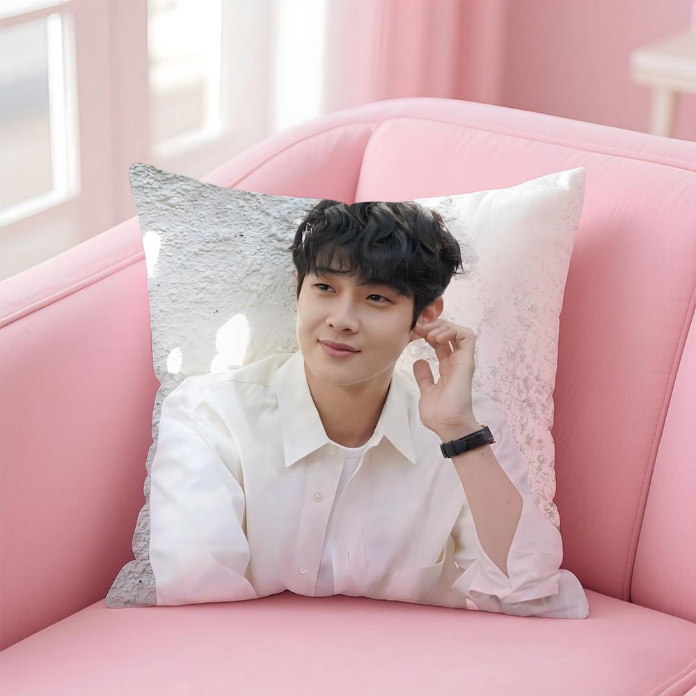 Talented Korean Actor CChoi Wooshik Cushion Cover Pillowcase Short Plush Invisible Zipper Room Sofa Cushion Cover