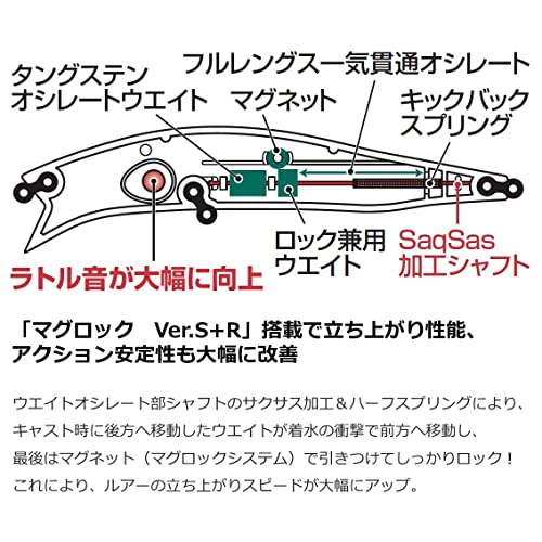 Daiwa C Wake R111FSSR CAK Boraco Sea Bass Lure