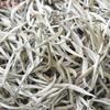 Mingka 2024 Spring Jinggu Silver Needle Yunnan White Tea