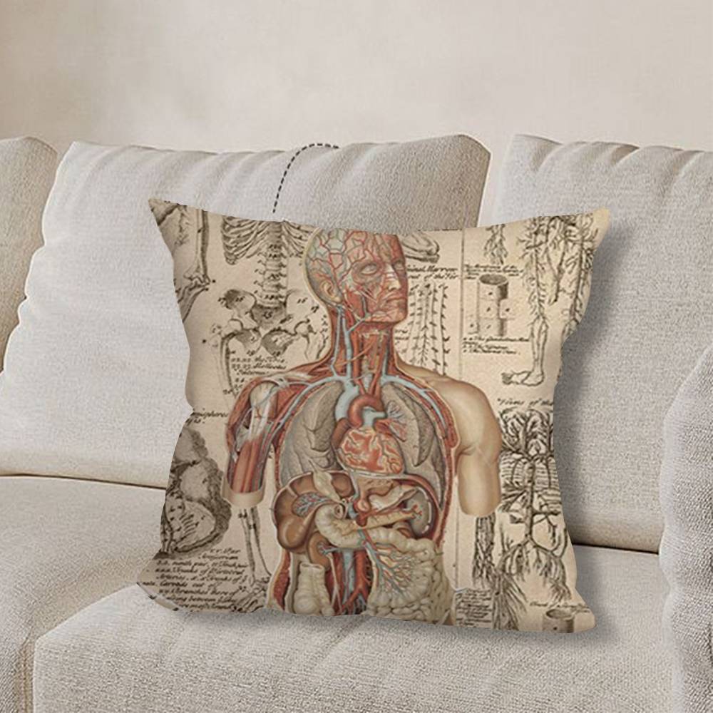 M-Medical Anatomy Art HumanS pillow cover living room sofa cushion cover bedroom room bed pillow cover home decoration