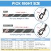 Pet Products Dog Reflective Leash Multi-color Strong Nylon Round Rope Large and Medium-sized Dog Leash Comfortable Padded Handle