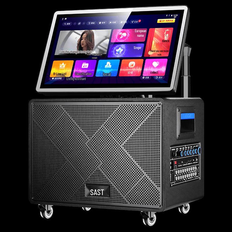 SAST SW-867T All-in-One Home KTV and Outdoor Karaoke System (CN Version)