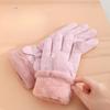 Fashionable Warm Gloves for Women In Autumn and Winter Cute Plush Warm Touch Screen Outdoor Riding Non Slip Waterproof Ski Gloves