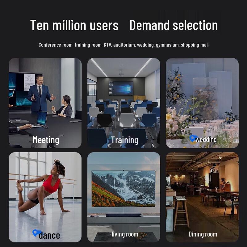 SAST Professional Conference Room Passive Column Speaker System with Wireless Microphones CN Plug (adapter Included)