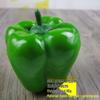 Fruit and Vegetable Model Props for Photography and Educational Use
