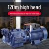 220V High Head Self-Priming Automatic Water Pump for Towerless Supply