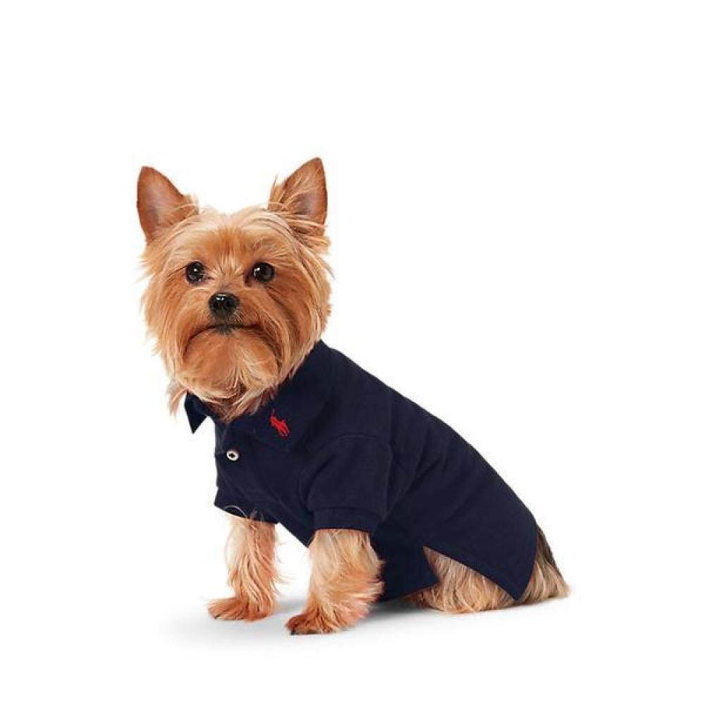 

Ralph Lauren Cotton Mesh Dog Polo Shirt Hmpogfthr920012410 SMALL