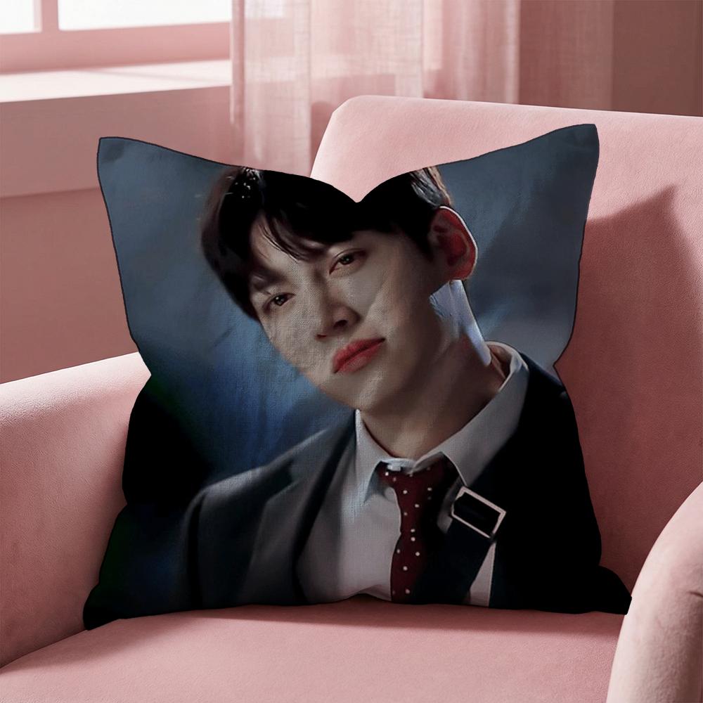 J-Ji C-Chang Wook Cushion Cover Multi-Scene Pillow Cover for Home & Car - Reversible, Soft & Durable for Daily Use