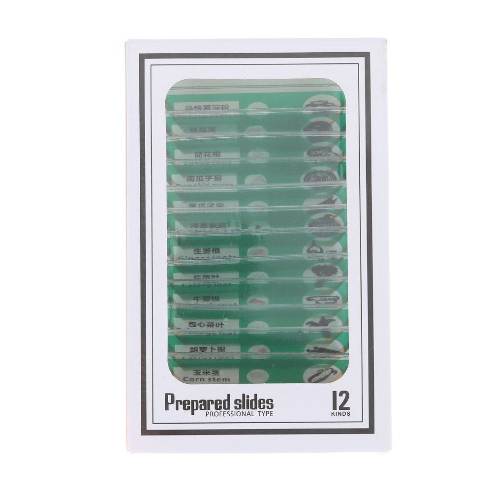 Plastic Microscope Slides Sample Specimens Animals Insects Plants Flowers Microscope Sample Prepared Slides Multicolor