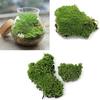 Home Party Decoration Artificial Green Grass Moss Plant Ornament Miniature