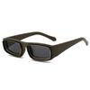 Trendy Y2K Small Sunglasses Colorful Fashion Leopard Shades Retro UV400 Sun Glasses for Women & Men