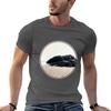 Long Beach Tofino Photo Tshirt Anime T Shirts Oversize Graphic T Shirts For Unisex Tshirt