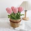 Crochet Tulip & Daisy Potted Bouquet Kit - Yarn Flowers & Ornaments