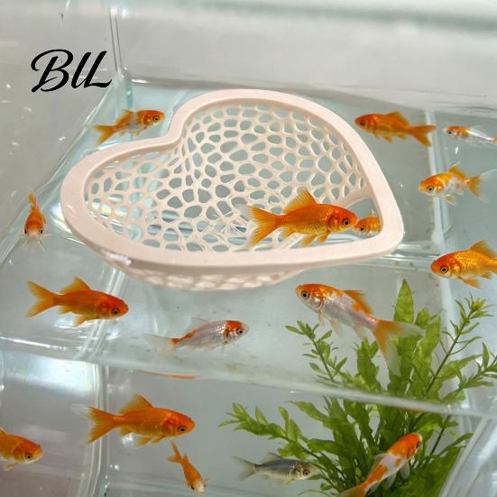 Ornamental Shrimp Habitat Floating Betta Hammock Heart Shape Aquarium Hideout Feeding Ring Hideaway Cave Bed Resting Spot for Nano Tanks Corydoras